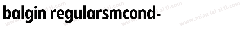 balgin regularsmcond字体转换